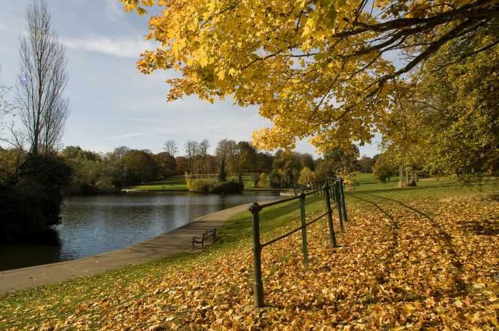 Abington Lake in Autumn