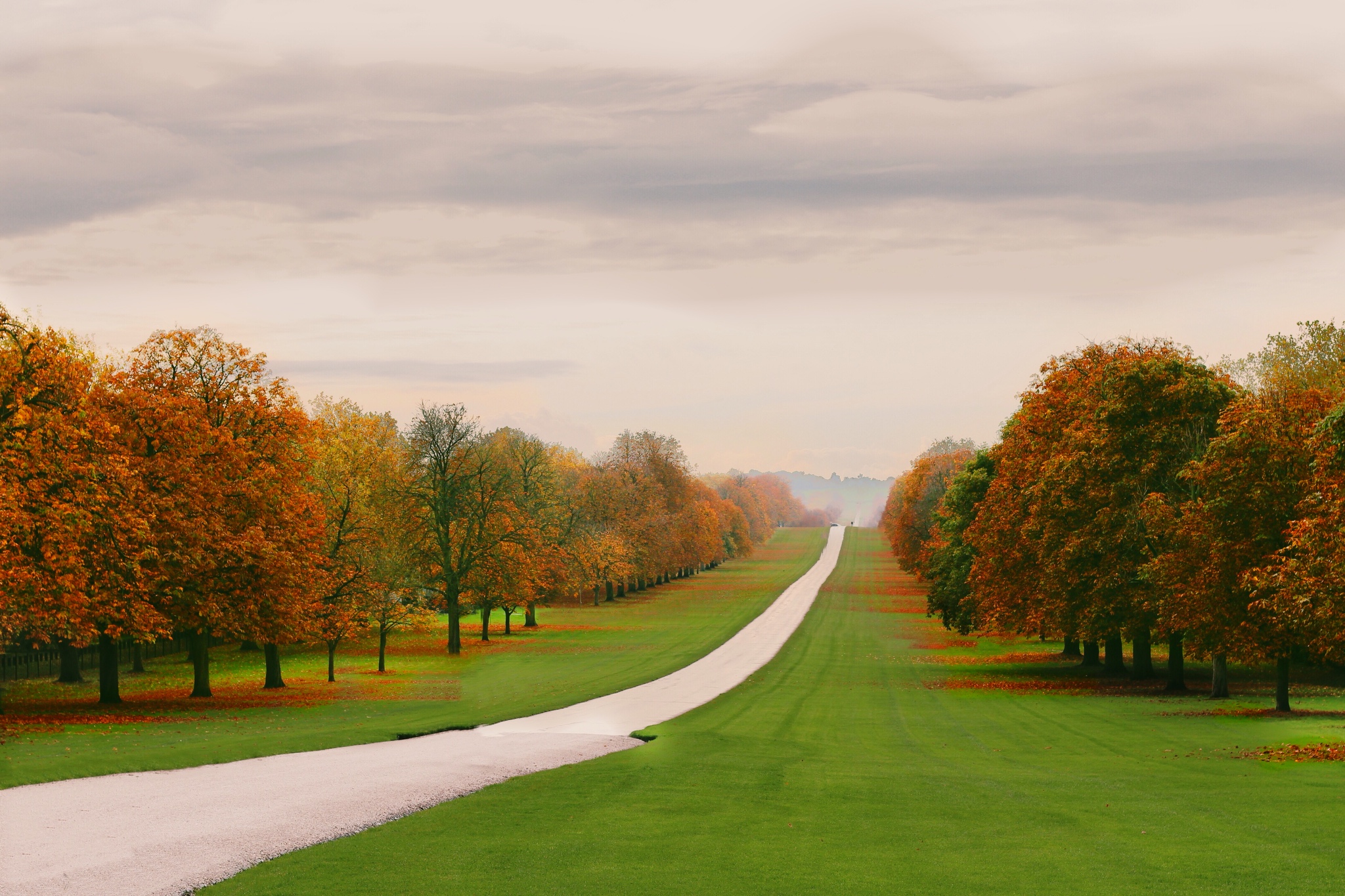 The Long Walk